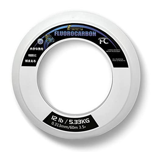 LUNYANG 100% Fluorocarbon High Strength Large Density Fishing Line 60M 12LB 5.33KG -Not Coated/Abrasion Resistance/No Water Absorption/Difficult for Fish to detect