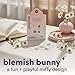 dearcloud Miffy Blemish Bunny Hydrocolloid Blemish Patches, Pimple Patches for Face, Acne Spot Treatment With Niacinamide & Salicylic Acid (36 Count)