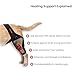 Oteengo Dog Knee Brace for Torn ACL Hind Leg Dog Knee Braces for Back Leg Torn ACL Knee Brace for Dogs Back Leg Dog ACL Brace Hind Leg Dog Knee Brace for Luxating Patella Leg Support (L)