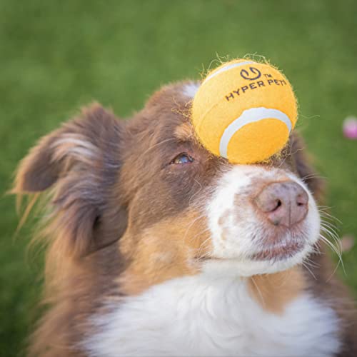 Image of Hyper Pet Tennis Balls for Dogs (Safe Ball for Exercise and Training) Interactive Dog Toys work with Hyper Pet K9 Kannon K2 Dog Ball Launcher - 4 Pack 2.5 inch Orange