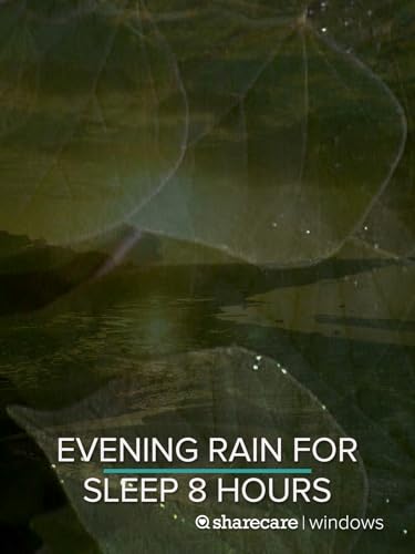 Evening Rain for Sleep 8 hours