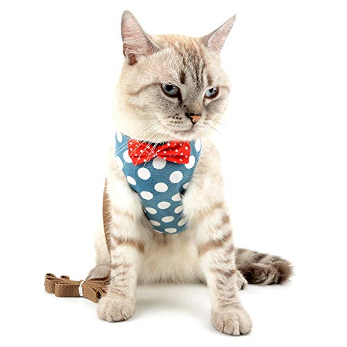 Ranphy Polka Dot Small Dog Harness and Leash Set No Pull No Choke Puppy Vest Harness Girl Boy Bow Tie Escape Proof Step in Pet Harness Walking Jacket for Chihuahua Toy Poodle Blue L
