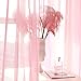 MIANBO Pink Sheer Curtains 84 Inches Length 2 Panels Set Window Sheer Curtains Basic Rod Pocket for Bedroom Children Living Room Yard Kitchen