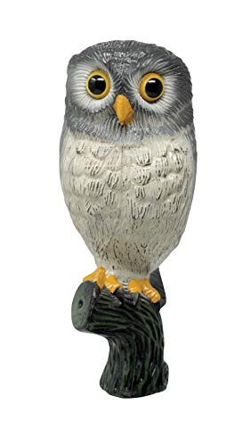 Defenders Little Owl