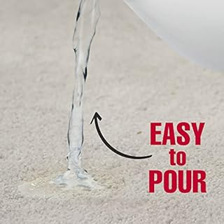 Nature's Miracle Urine Destroyer Plus for Dogs, Enzymatic Formula for Severe Dog Urine Stains, 1 gal