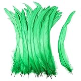 iHUFeather Natural Rooster Tail Feathers 50pcs 10-12inch Long Rooster Coque Tail Feathers Bulk for DIY Crafts Costume and Halloween Party Performances Decoration(Grass Green)