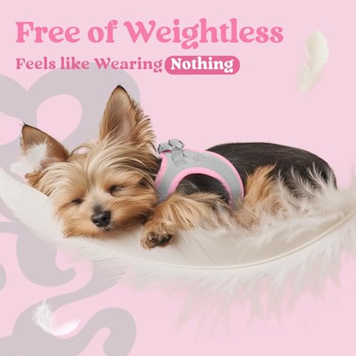 rabbitgoo Small Dog Harness, Step-in Soft Mesh Puppy Vest with Safety Buckle, Breathable Reflective Pet Harness for Extra Small Dogs, Pink & Gray XXS by rabbitgoo - Image 4