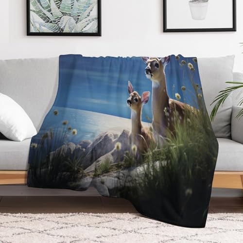Manta de forro polar de franela para decorar el sofá de tu sala de estar este invierno 3
