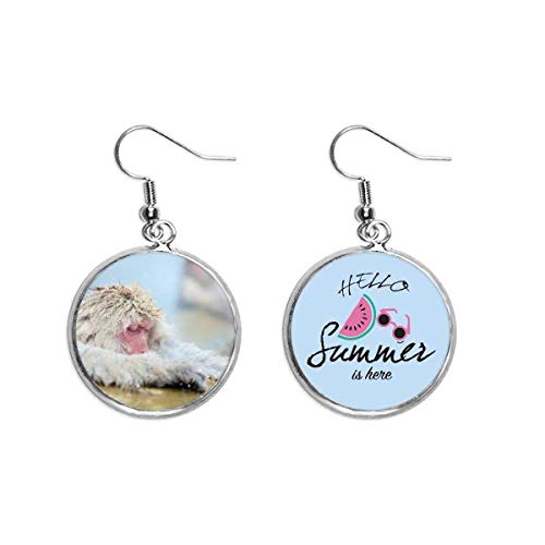 Pendientes de sandía un regalo original de verano para amigas y cumpleaños
