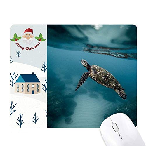 C̃J̉Ȋw͎R̎ʐ^ T^N[XƉS̃}EXpbh