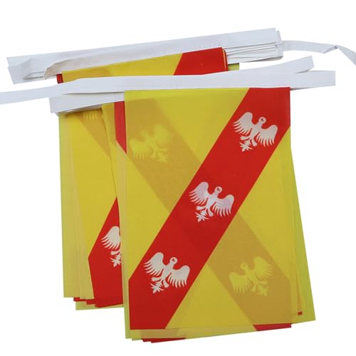 Image of AZ FLAG Lorraine 6 meters BUNTING Flag 20 flags 9'' x 6'' - French region of Lorraine STRING flags 15 x 21 cm