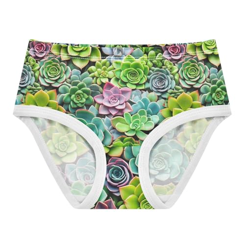 Animal Toddler Girls Underwear 2t Cotton Panties Little Girl Succulent Plants Colorful Green Briefs Underpants