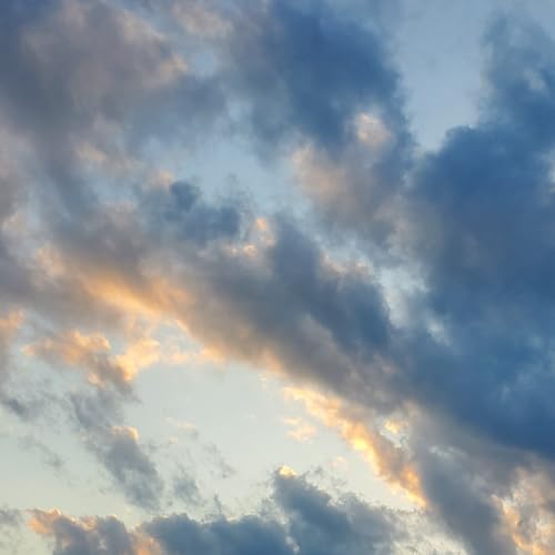 Tinnitus is the Emotional Response; change the response and the noise fades away