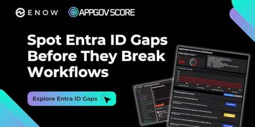 What an ID Governance Consultant Wishes You Knew About Entra