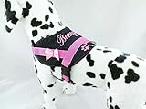 Hundegeschirr S M L XL XXL Brustgeschirr Name bestickt Jeans Rosa für kleine mittelgröße und große Hunde mehrere Farben
