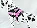 Hundegeschirr S M L XL XXL Brustgeschirr Name bestickt Jeans Rosa für kleine mittelgröße und große Hunde mehrere Farben