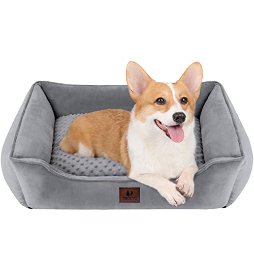 Paradise Pets Hundebett Mittelgroß – Orthopädisch, Waschbar, Mit Rutschfester Unterseite, Grau 89x63x16 Cm