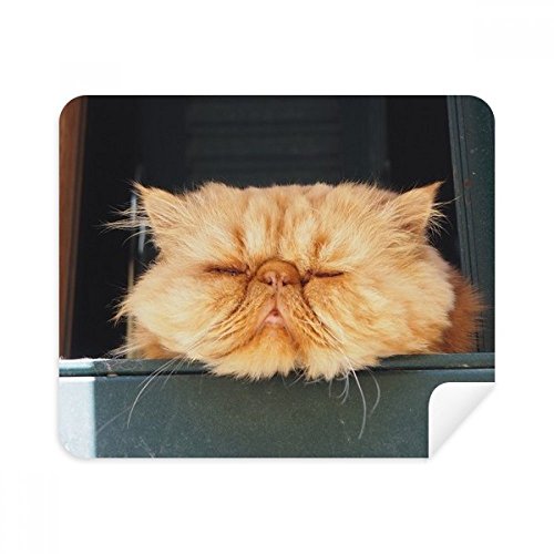 Chiffon de nettoyage pour écran de téléphone au bureau ou en voyage lot de 2 chat jaune