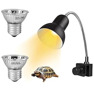 KEEHOM Reptielen, warmtelamp, schildpadden, warmtelamp, terrarium, verwarmingslamp, reptielen, verwarmingslamp met 50 W…