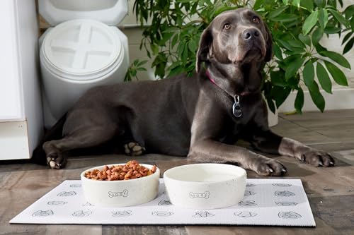 Pearhead Ceramic Dog Bowl – “Woof” Speckled Pet Food & Water Dish, Durable Stoneware, Non-Slip Heavy Base, 20 oz, Medium