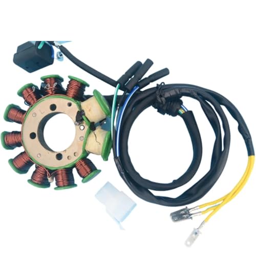 Stator d'allumage 11 pôles pour fiabiliser le moteur TX200