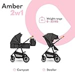 LIONELO Amber Kinderwagen 2 in 1 Kombikinderwagen, Kinderwagen Set mit sportlichen Sitz und fester Babywanne, Tasche, Moskitonetz, Abdeckung Regenblatt (Graphit)