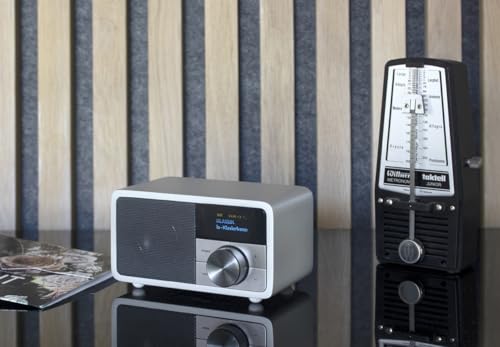 Radio Dab+ Portable Bluetooth KATHREIN Mini argent compacte puissante