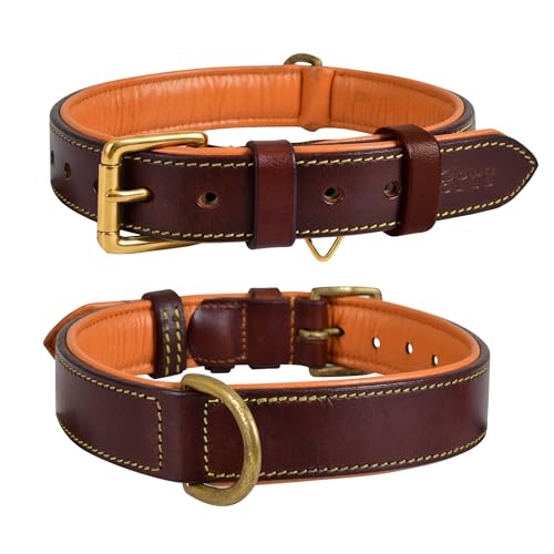 Image of Genuine Leather Dog Collar, Brown, Medium, Brass Buckle, Padded | 1 Inch Wide, Fit Neck Size - 14.5 inch - 18.5 inch, Double D Ring, Adjustable, Thick Leather, Heavy Duty, Soft Leather padding