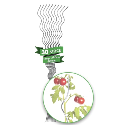 FLOORDIREKT Tomatenspiralstäbe - 180 cm Länge - 30 Stück - Tomatenstab - Spiralstab - Rankstab - Tomaten Rankhilfe - Pflanzstab aus verzinktem...
