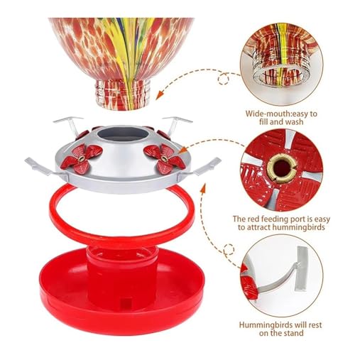 Distributeur colibris verre extérieur sans invasion de fourmis - 7