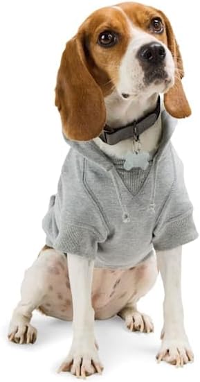 Reddy by Petco Icon Dog Hoodie Medium