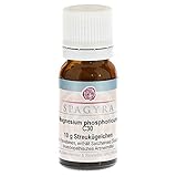 Spagyra GmbH & Co. KG