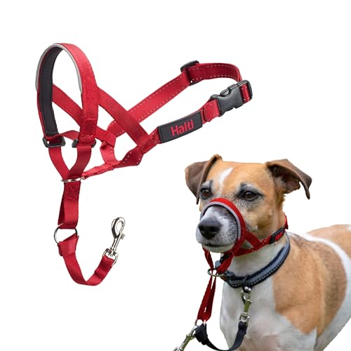 Image of Halti Headcollar - Stop Your Dog Pulling on the Leash. Adjustable, Reflective and Lightweight, with Padded Nose Band. Dog Training Anti-Pull Collar for Small Dogs (Size 1, Red) | Stop Your Dog Pulling on the Leash | Adjustable, Reflective, Lightweight | Padded Nose Band | Training Collar for Small Dogs