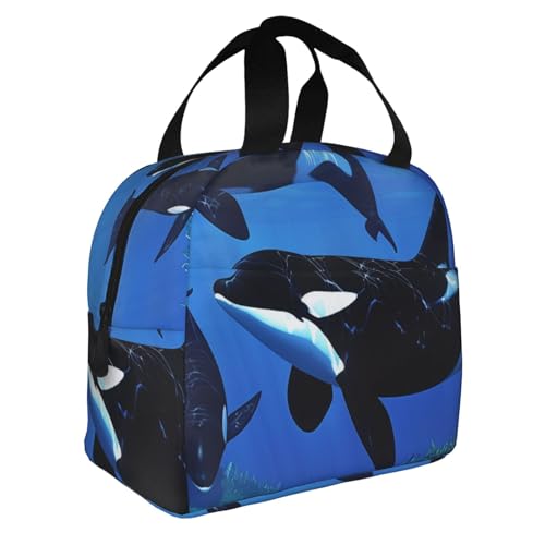 POKLB V` XC AO vg fM`obO g[g ėp\ ۉ`N[[ e fM`I[KiCU[ TCh|Pbgt