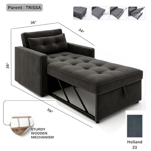Image of FURNY Tressa 1 Seater Fabric Easy Pull-Out Sofa Cum Bed (Dark Grey) Premium Velvet Finish | Durable Comfort | Ideal for Living Room