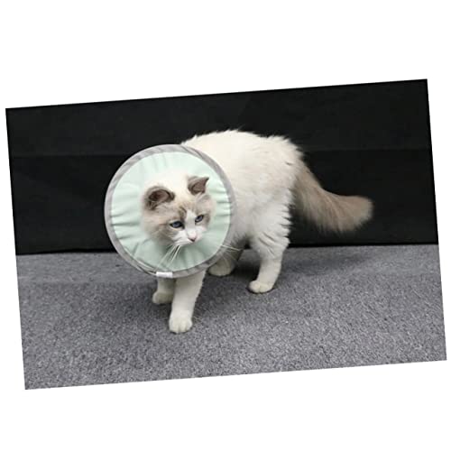 Collier de récupération chat et cône chiot anti-léchage x2