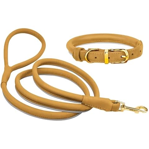 Small Rolled Leather Dog Collar and Leash Set Reflective 6ft Leather Leash with Dog Collar for Small Dogs Puppy, Camel Cover