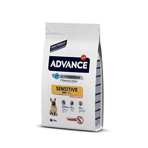 Salmon per cani con sensibilità digestive