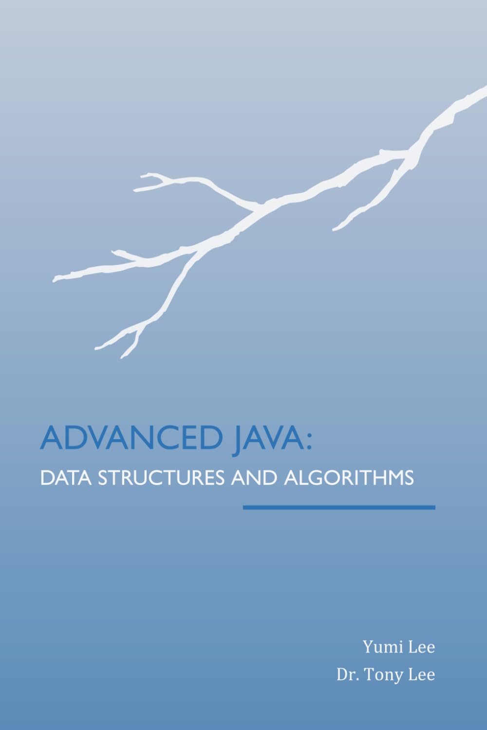 Advanced Java: Data Structures and Algorithms
