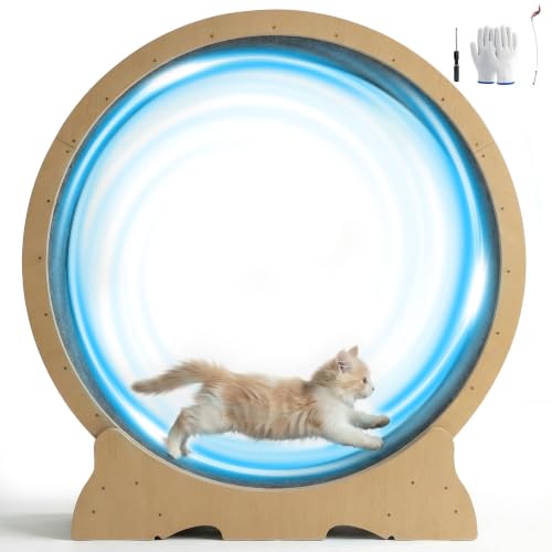 POLAHAKU Cat Exercise Wheel - 48 Inch