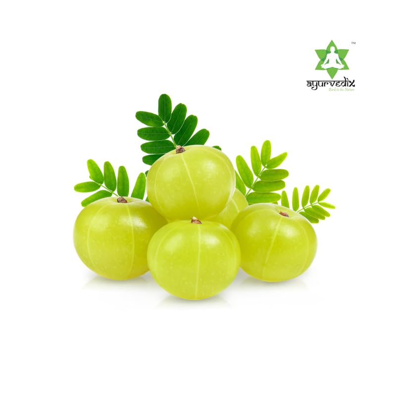 Image of Amla Ark 400 ml | 100% Pure Natural Amla Extract | Rich in Vitamin C | Supports Immunity, Digestion, Hair & Skin Health | Ayurvedic Herbal Tonic | Liquid Form | FSSAI Certified