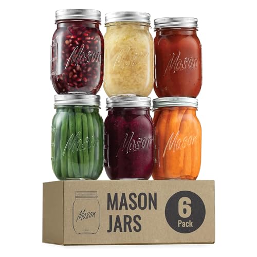 ELAORY Classic 16 Oz Mason Jars, 6 Pack Canning Jars, Regular Mouth, Airtight & Leak Proof, Dishwasher Safe, Microwave & Freezer Safe, 3.2 x 4.5 x 5.5 inches