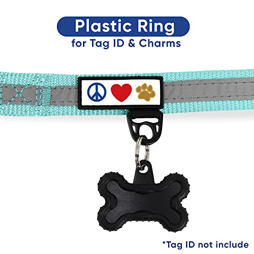 Pawtitas Martingale Dog Collar With Chain A Reflective Dog Training Collar For Medium Dogs | Nylon No Pull Dog Collar For Medium Dog - Teal #TOP7