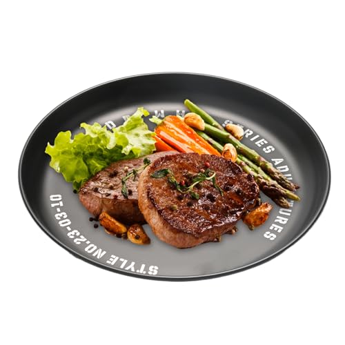 Platos de metal para comer, plato seguro para exteriores, vajilla portátil suave, juego de platos ligeros y reutilizables, ideal para patio, viajes, camping, aperitivos, alimentación, 6.89 x 0.67