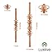 Luxilive Premium Fascia, Cellulite & Muscle Massager Two Stick Set - Wooden Hand Finished Roller Anti Cellulite Sore Muscle Blasting Dimple Remover Relief & Fat Blast