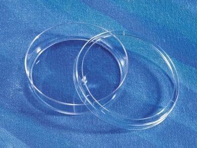 Laboratory Glass Petri Dish, 150mm Diameter, 20mm Height (2)