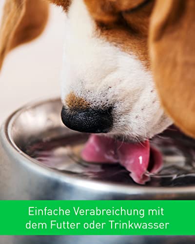 Vetoquinol Calo-Pet Gel | 120 g | Diät-Ergänzungsfuttermittel für Hunde und Katzen | Zur Gewichtszunahme, Rekonvaleszenz und zum Ausgleich von Vitamin- und Mineralstoffmangel