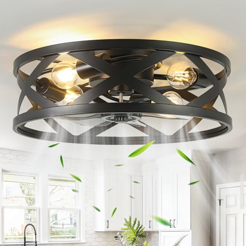 Image of 20 Inch Caged Ceiling Fan Light with Remote, Black Flush Mount Bladeless