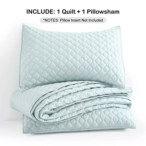 HORIMOTE HOME Quilt Twin Size Aqua Blue, Lightweight Quilt for Summer Ultra-Soft Microfiber Modern Style Quilted Clouds Pattern Bedspread Quit Set 2 Pieces (1 Quilt and 1 Pillow Sham)