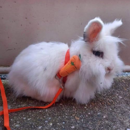 Image of 2PCS Rabbit Harness and Leash Adjustable Bunny Harness Leash Set Small Pet Cute Vest Harness Leash for Safety Walking Running for Bunny Cat Puppy Kitten Ferret (Red+Orange)